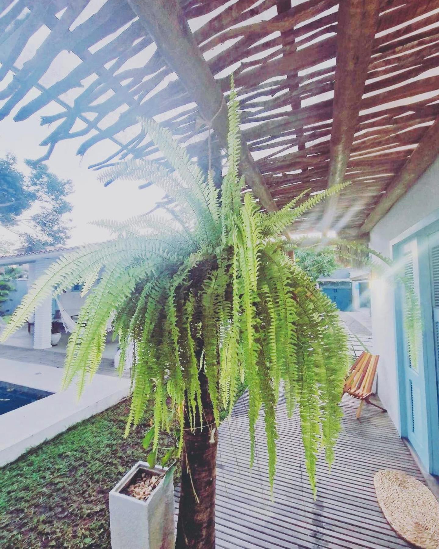 Villa Parazinho ปารากูรู ภายนอก รูปภาพ
