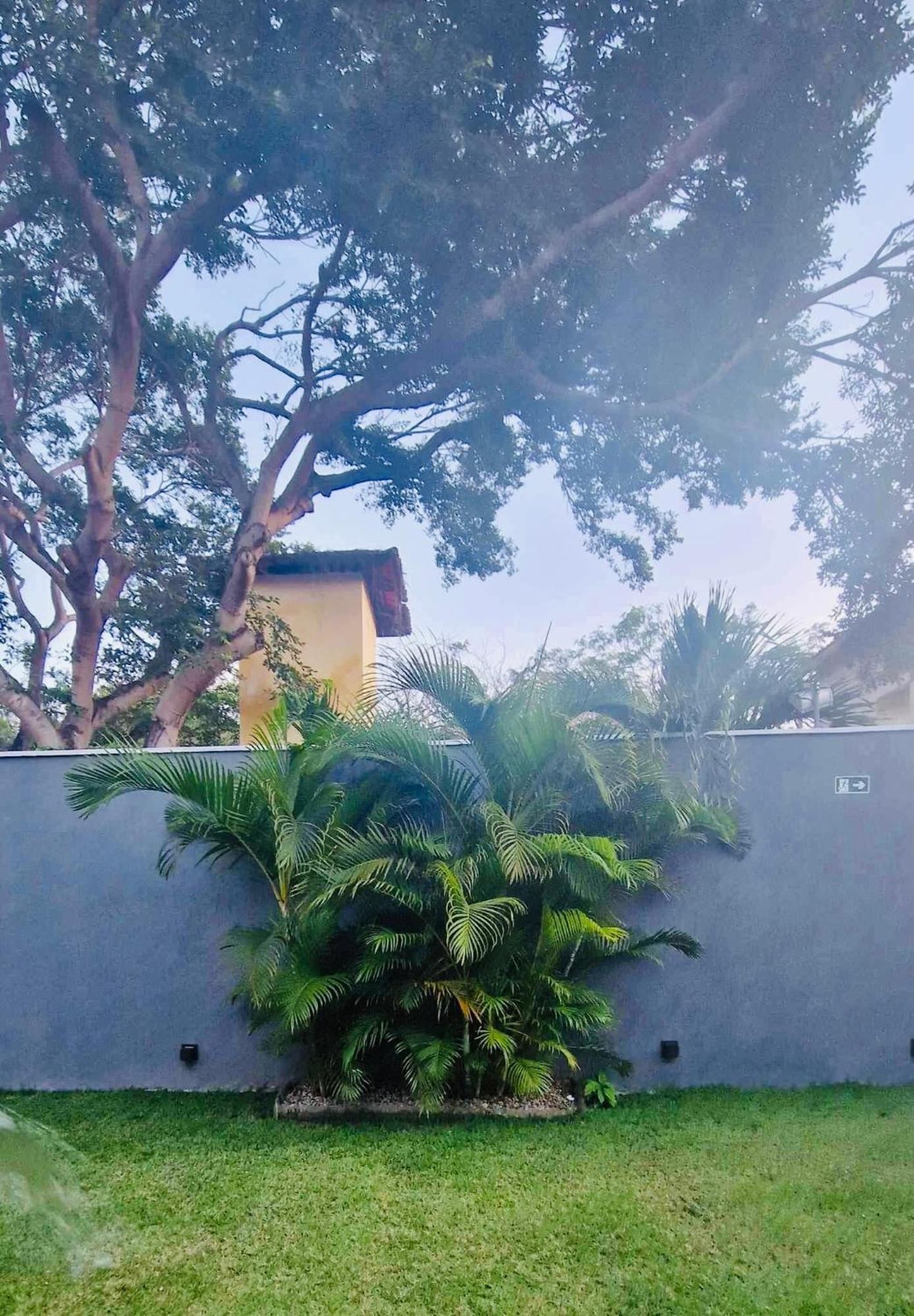 Villa Parazinho ปารากูรู ภายนอก รูปภาพ