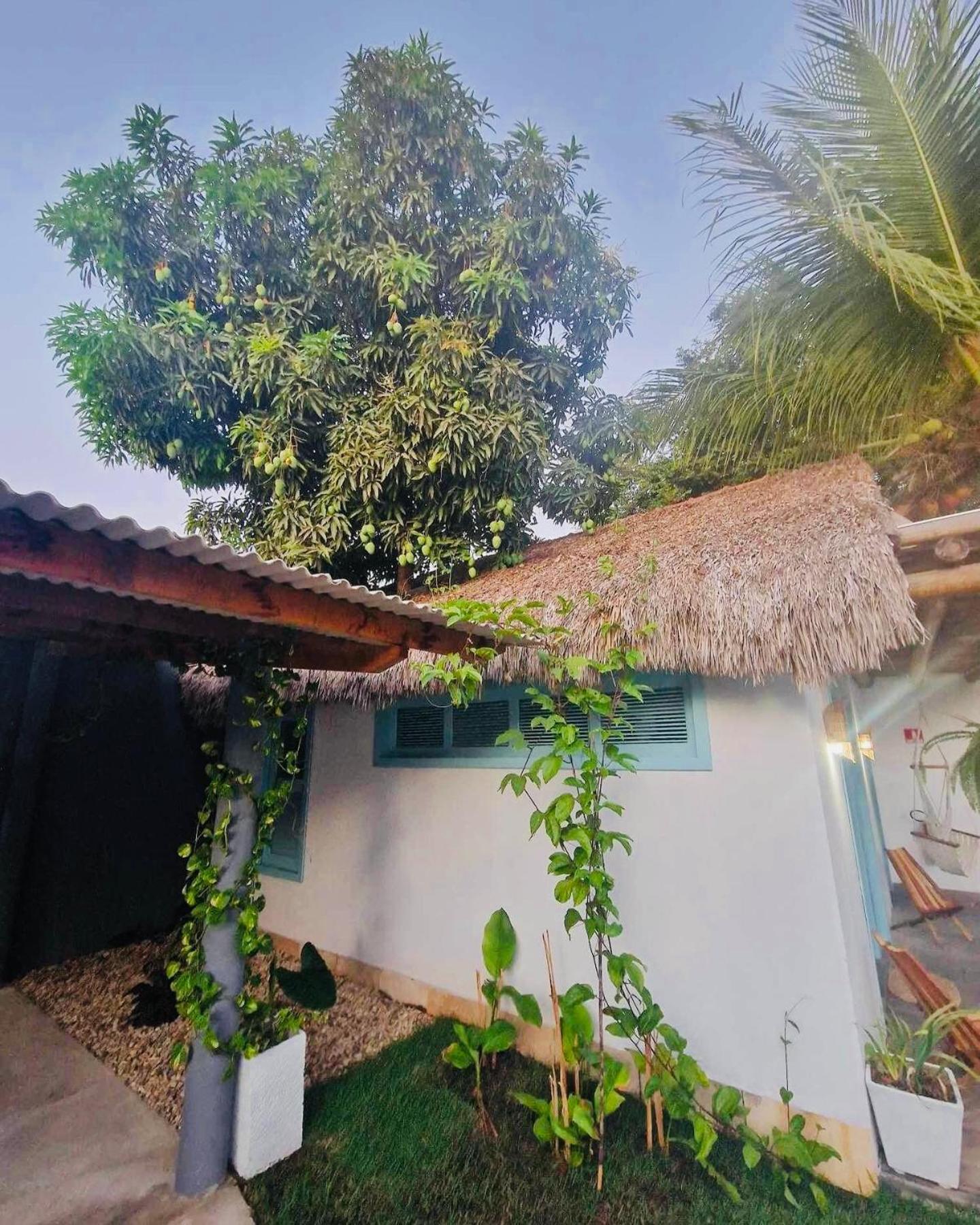 Villa Parazinho ปารากูรู ภายนอก รูปภาพ